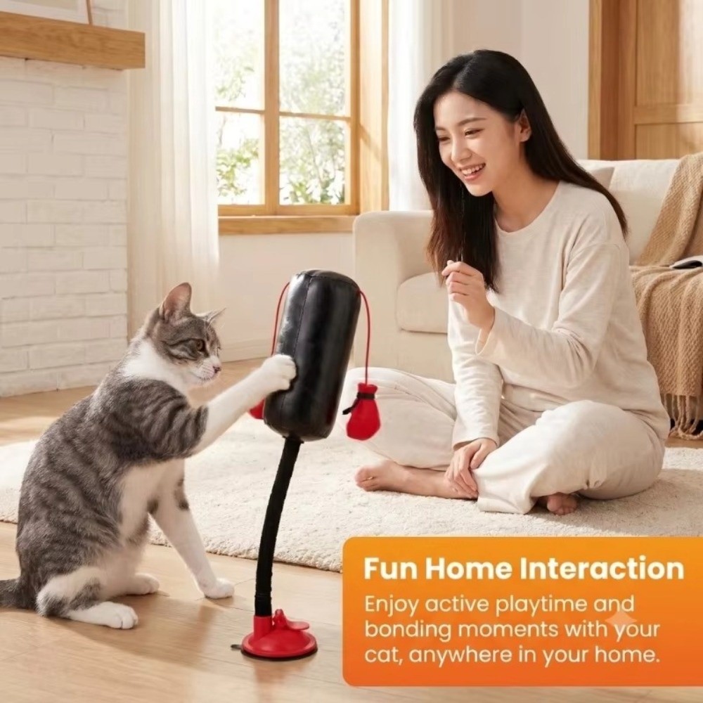 Suction Cup Base Cat Boxing To - Speed Bag Boxing recension och pris