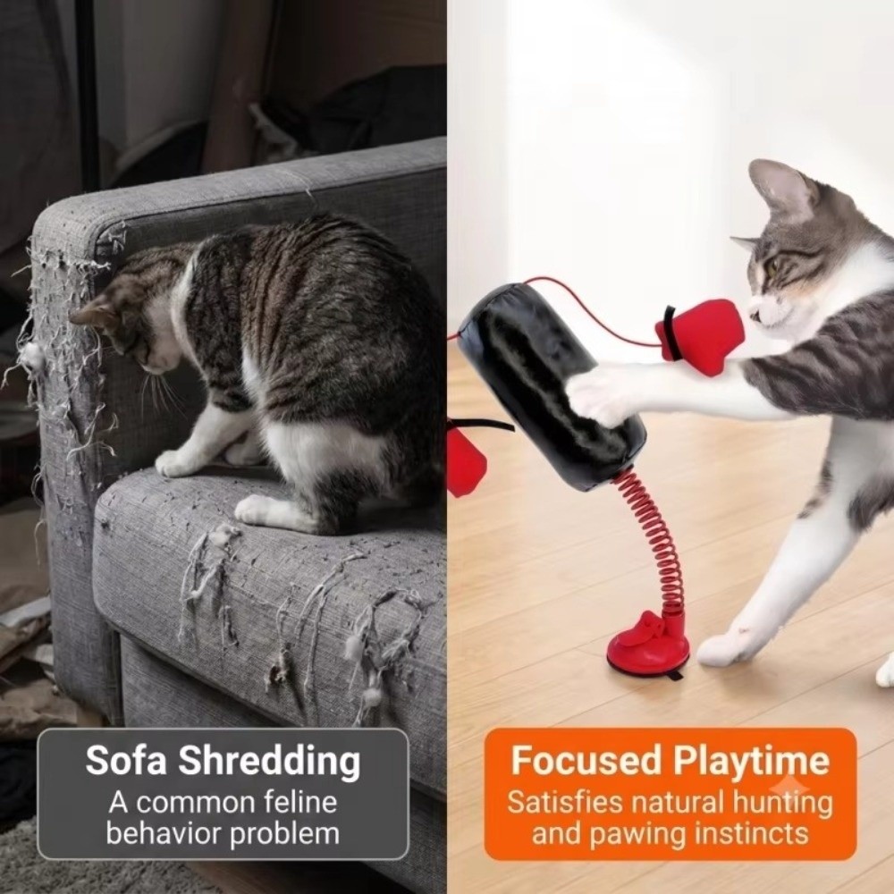 Suction Cup Base Cat Boxing To - Speed Bag Boxing recension och pris