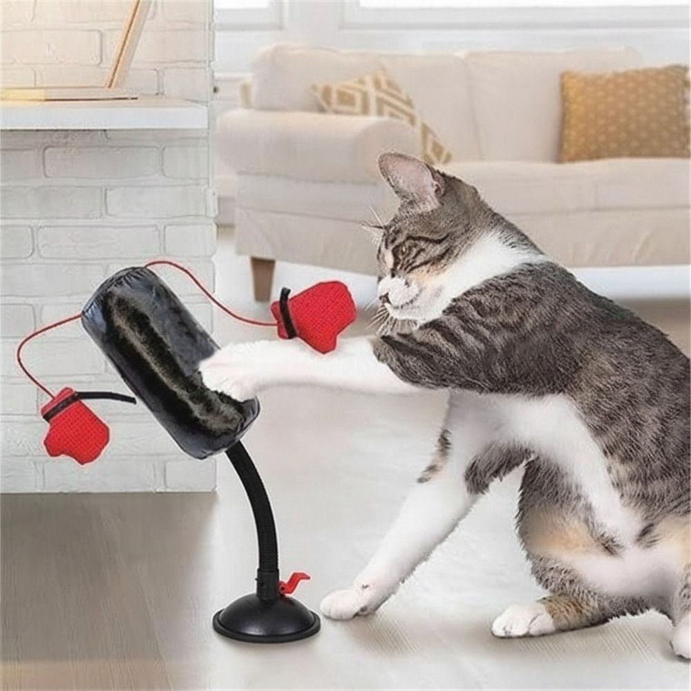 Suction Cup Base Cat Boxing To - Speed Bag Boxing recension och pris